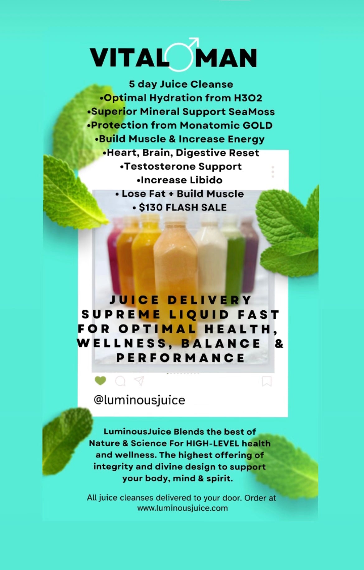 VITAL MAN 5 DAY JUICE CLEANSE