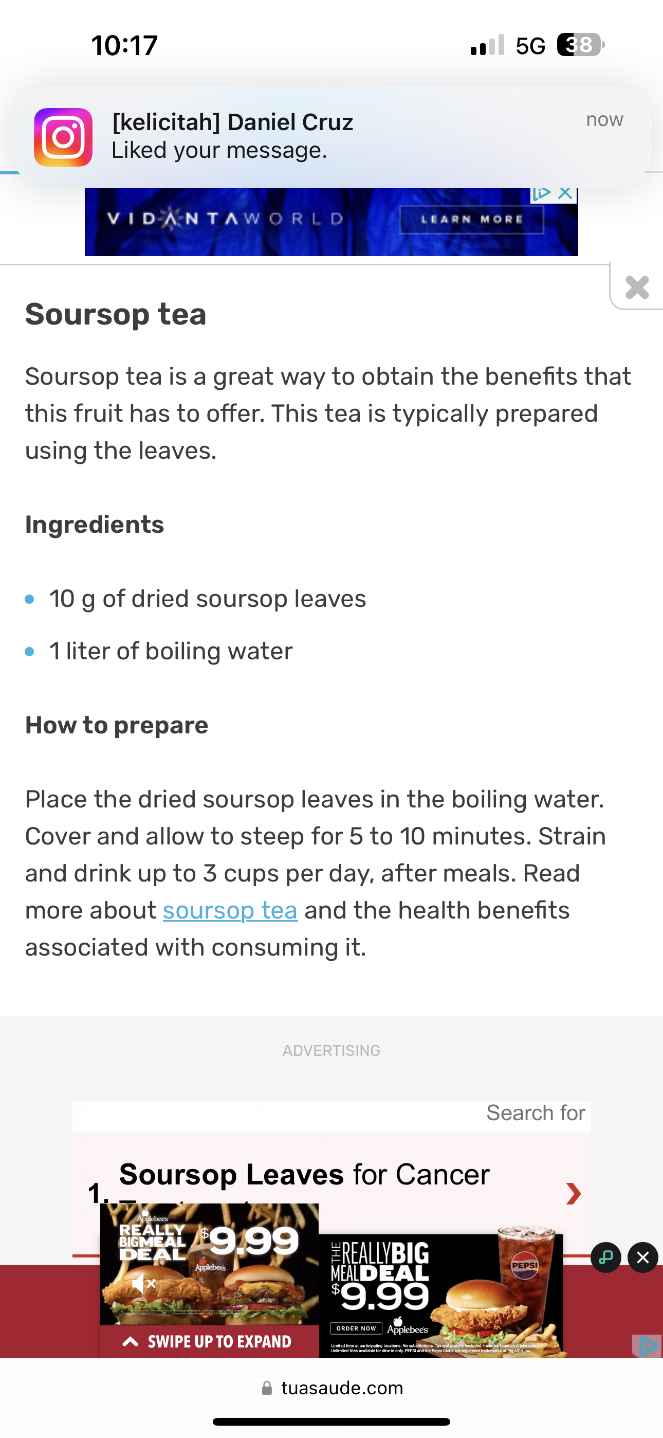 Soursop Leaf