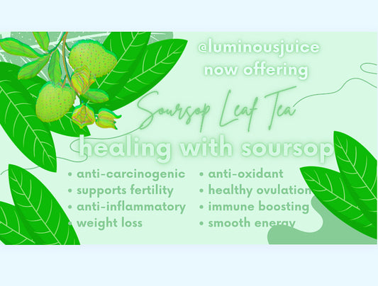 HEAL- Soursop Leaf Tea 7 day Cleanse
